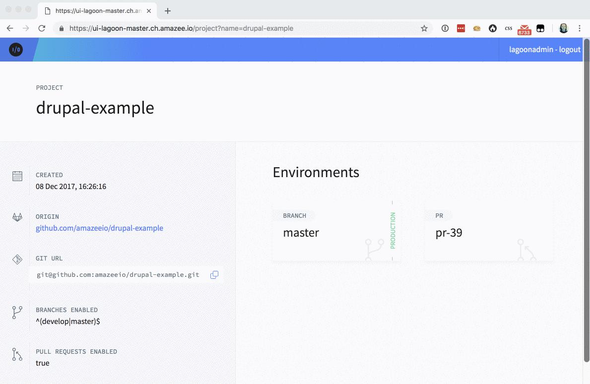 Deleting an environment on Lagoon by amazee.io